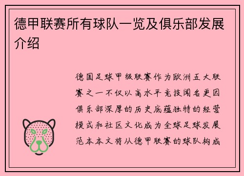 德甲联赛所有球队一览及俱乐部发展介绍