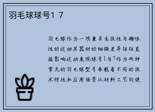 羽毛球球号1 7